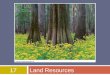 17Land Resources. Overview of Chapter 17  Land Use  Wilderness Park and Wildlife Refuges  Forests  Rangeland and Agricultural Land  Wetlands and