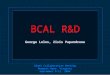 BCAL R&D GlueX Collaboration Meeting Newport News, Virginia September 9-11, 2004 George Lolos, Zisis Papandreou