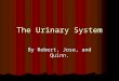 The Urinary System By Robert, Jose, and Quinn. The Kidneys  The kidneys make sure that your blood has enough vitamins and minerals.  Each kidney has