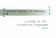 Sudanese Doctors in Training ~ UK e-Guide to the Foundation Programme 2012