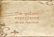 The golden experience BY SUE PARKINSON. Who would like to dress in This style of clothing?