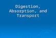 Digestion, Absorption, and Transport Overview Digestive System   Functions: Digestion, Absorption, Elimination Digestion – process of breaking down