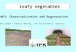 Leafy vegetables WP2: Characterisation and Regeneration WP-Leader: Andreas Börner, IPK Gatersleben, Germany