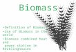 Biomass Definition of Biomass Use of Biomass in the world Biomass combined heat and power station in Recklinghausen Facts and figures Outlook for the future