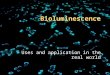 Bioluminescence Uses and application in the real world