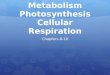 Metabolism Photosynthesis Cellular Respiration Chapters 8-10