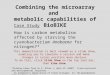 Combining the microarray and metabolic capabilities of BioBIKE Case Study How is carbon metabolism affected by starving the cyanobacterium Anabaena for