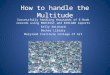 How to handle the Multitude Successfully handling thousands of E-Book records using MARCEdit and BIBLOAD reports Kelly Swickard Decker Library Maryland