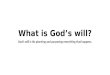 What is God’s will? God’s will is his planning and purposing everything that happens