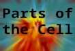 Parts of the Cell Plant vs Animal Cells Controls what gets in and out of the cell Cell Membrane