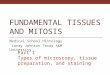 FUNDAMENTAL TISSUES AND MITOSIS Medical School Histology Larry Johnson Texas A&M University Part I Types of microscopy, tissue preparation, and staining