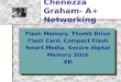 Period 81 Chenezza Graham- A+ Networking Your Logo Here - Flash Memory, Thumb Drive - Flash Card, Compact Flash - Smart Media, Secure digital - Memory