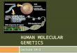 HUMAN MOLECULAR GENETICS Lecture 14-3. Genetic testing Genetic tests are now available for hundreds of disorders. Parents can find out if they carry defective