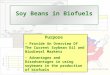 Soy Beans in Biofuels Purpose Provide An Overview Of The Current Soybean Oil and Biodiesel Markets Advantages and Disadvantages in using soybeans in the