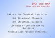 1 DNA and RNA Structure and Function RNA and DNA Chemical Structures DNA Structural Elements RNA Structural Elements Cleavage of DNA and RNA by Nucleases