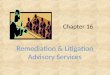Chapter 16 Remediation & Litigation Advisory Services