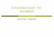 Introduction to WinBUGS Olivier Gimenez. A brief history  1989: project began with a Unix version called BUGS  1998: first Windows version, WinBUGS