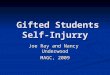Gifted Students Self- Injurry Gifted Students Self- Injurry Joe Ray and Nancy Underwood MAGC, 2009