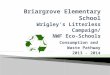 Consumption and Waste Pathway 2013 - 2014.  Briargrove (BG) Elementary School (ES) in Houston, TX, entered the Wrigley’s Litterless Campaign as compliment