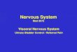 Nervous System Med 6573 Visceral Nervous System Urinary Bladder Control / Referred Pain