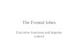 The Frontal lobes Executive functions and Impulse control