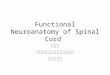 Functional Neuroanatomy of Spinal Cord 蔡昀岸 台北榮民總醫院神經醫學中心 神經修復科