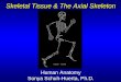 Skeletal Tissue & The Axial Skeleton Human Anatomy Sonya Schuh-Huerta, Ph.D