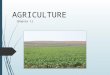 AGRICULTURE Chapter 11. What Is Agriculture, and Where Did Agriculture Begin? The purposeful tending of crops and raising of livestock in order to produce