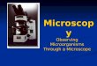 Microscopy Observing Microorganisms Through a Microscope