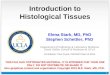 1 Introduction to Histological Tissues Elena Stark, MD, PhD Stephen Schettler, PhD Department of Pathology & Laboratory Medicine David Geffen School of