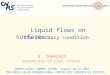Liquid flows on surfaces: the boundary condition E. CHARLAIX University of Lyon, France NANOFLUIDICS SUMMER SCHOOL August 20-24 2007 THE ABDUS SALAM INTERNATIONAL