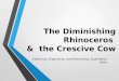 The Diminishing Rhinoceros & the Crescive Cow Exploring, Organizing, and Describing, Qualitative Data