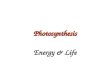 Photosynthesis Energy & Life. Overview of Photosynthesis
