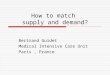 How to match supply and demand? Bertrand Guidet Medical Intensive Care Unit Paris, France