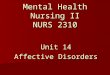 Mental Health Nursing II NURS 2310 Unit 14 Affective Disorders