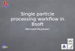LSBR Single particle processing workflow in Bsoft Bernard Heymann