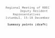 Regional Meeting of RBEC Deputy Resident Representatives Istanbul, 15-18 December Summary points (draft)