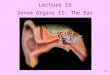 15-1 Lecture 16 Sense Organs II: The Ear. 15-2 Basic Parts of the Ear External ear: Hearing; terminates at eardrum Middle ear: Hearing; contains auditory
