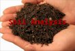 Soil Analysis. What Is Soil? Mixture of organic and inorganic material May range from 100% inorganic (sand) to nearly 100% organic (peat) Inorganic part