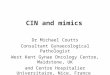 CIN and mimics Dr Michael Coutts Consultant Gynaecological Pathologist West Kent Gynae Oncology Centre, Maidstone, UK and Centre Hospitalier Universitaire,