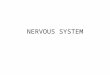 NERVOUS SYSTEM. Homeostasis controlled by Nervous system Endocrine system