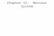 Chapter 15: Nervous System. The NERVOUS System (no, not that kind of nervous) We mean THIS kind of “nervous!” I think my urinary system just functioned
