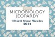 MICROBIOLOGY JEOPARDY Third Nine Weeks 2014 ElDoradoHighSchoolAZTECS 100 200 300 400 500