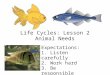 Life Cycles: Lesson 2 Animal Needs Expectations: 1. Listen carefully 2. Work hard 3. Be responsible