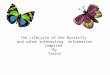 The Lifecycle of the Butterfly and other interesting information Compiled By Travis