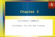 Chapter © 2006 The McGraw-Hill Companies, Inc. All rights reserved.McGraw-Hill/ Irwin Chapter 5 ELECTRONIC COMMERCE Strategies for the New Economy 5