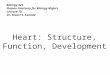 Biology 323 Human Anatomy for Biology Majors Lecture 10 Dr. Stuart S. Sumida Heart: Structure, Function, Development