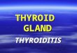 THYROID GLAND THYROIDITIS. THYROIDITIS It is a heterogeneous group of inflammatory disorders involving the thyroid gland, of which the etiologies range