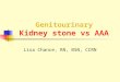 Genitourinary Kidney stone vs AAA Lisa Chance, RN, BSN, CCRN