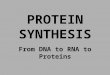 PROTEIN SYNTHESIS From DNA to RNA to Proteins. Genes Sections of DNA that controls making of physical traits/proteins